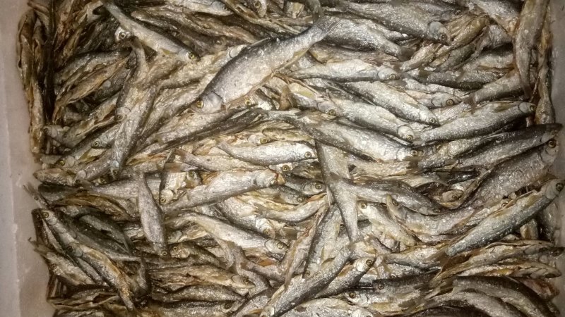 油炸白条鱼。