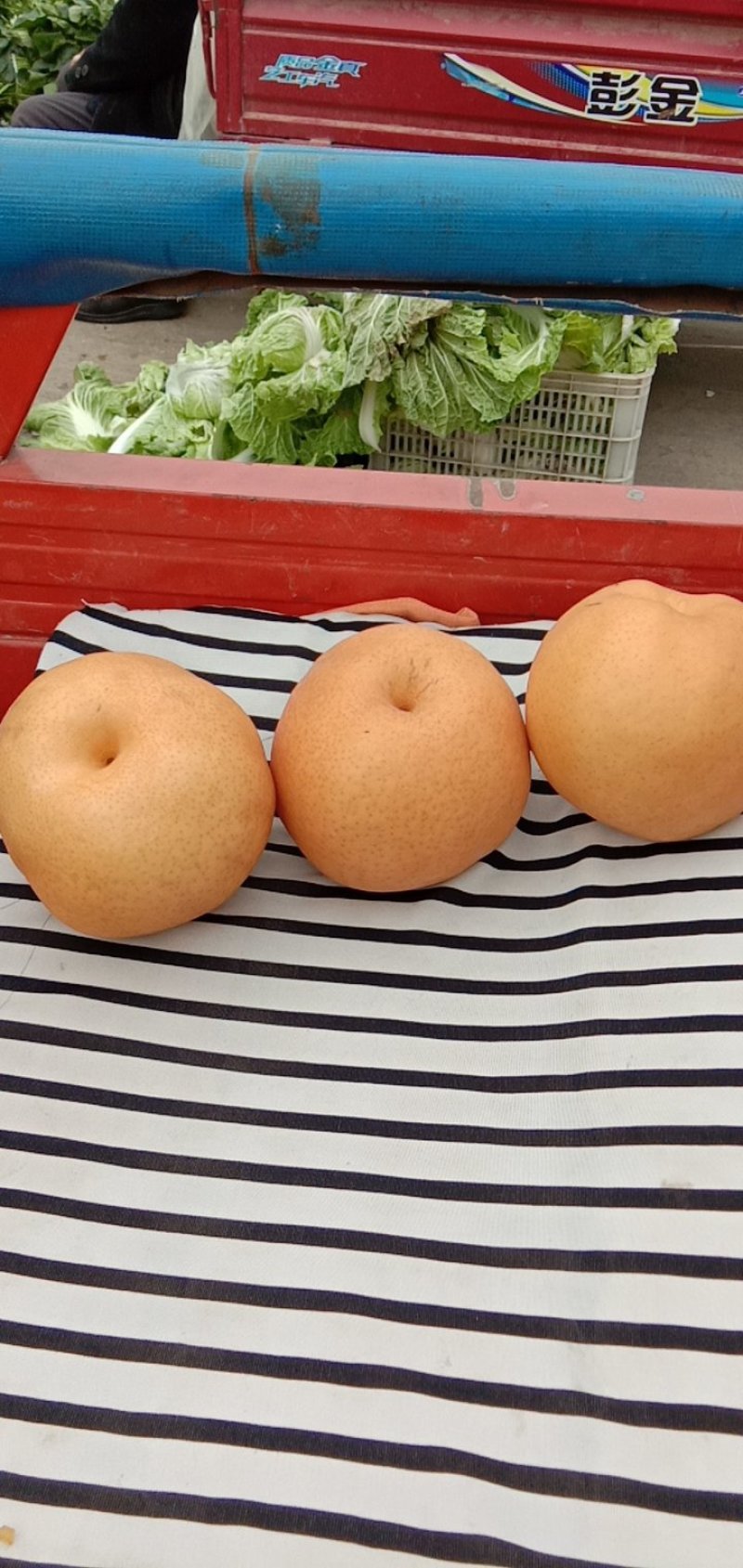 晚秋黄梨