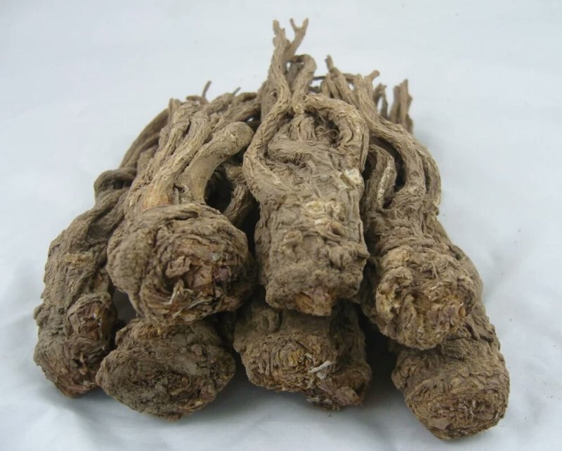 岷当归(包邮甘肃乡里娃的土当归，产地直发