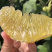 红美人柑橘现摘现厂发货保证质量一箱十斤．浙江上海江苏．保邮