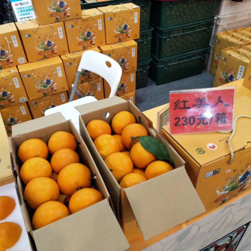 红美人柑橘现摘现厂发货保证质量一箱十斤．浙江上海江苏．保邮