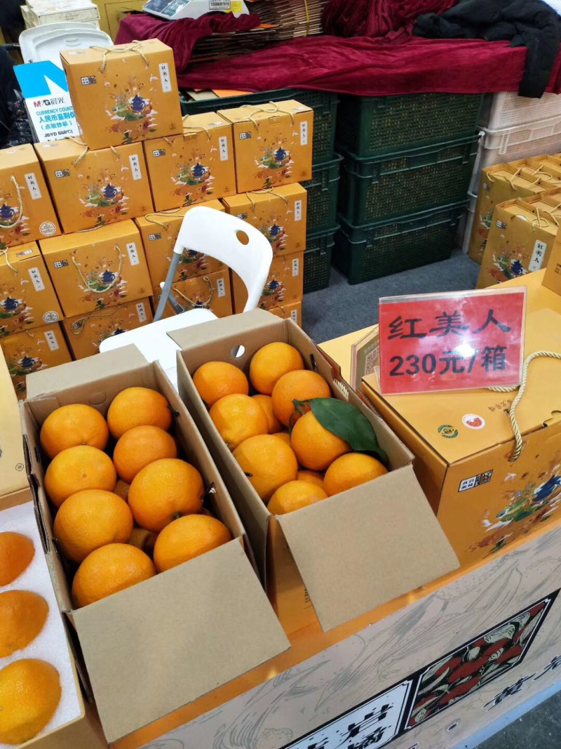 红美人柑橘现摘现厂发货保证质量一箱十斤．浙江上海江苏．保邮