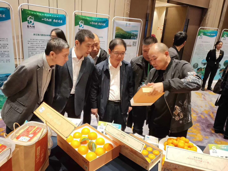 红美人柑橘现摘现厂发货保证质量一箱十斤．浙江上海江苏．保邮