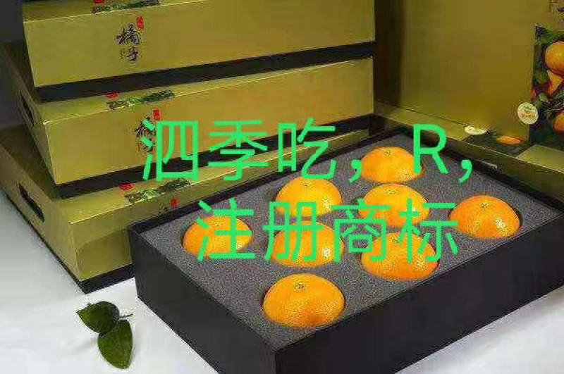 红美人柑橘一盒8个装现摘现发货保证质量．浙江上海江苏保邮，