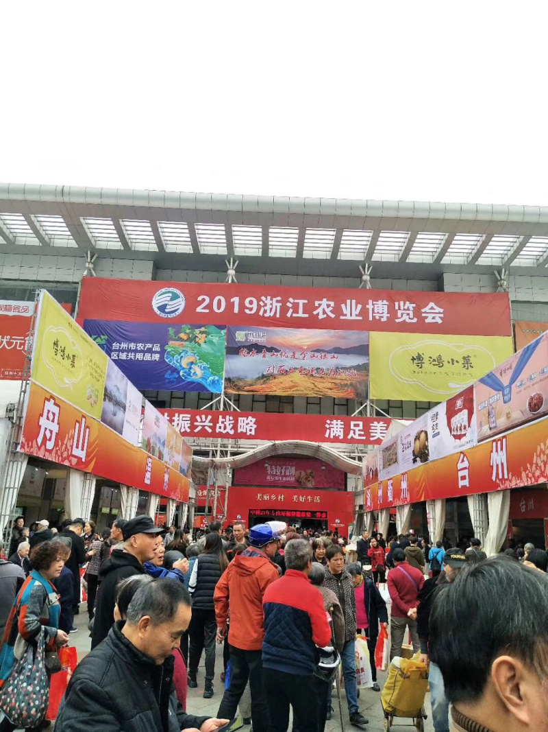 红美人柑橘一盒8个装现摘现发货保证质量．浙江上海江苏保邮，