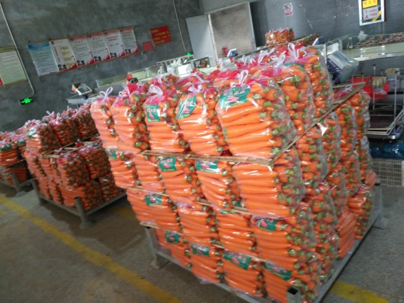 胡萝卜代办代销自家有基地货源