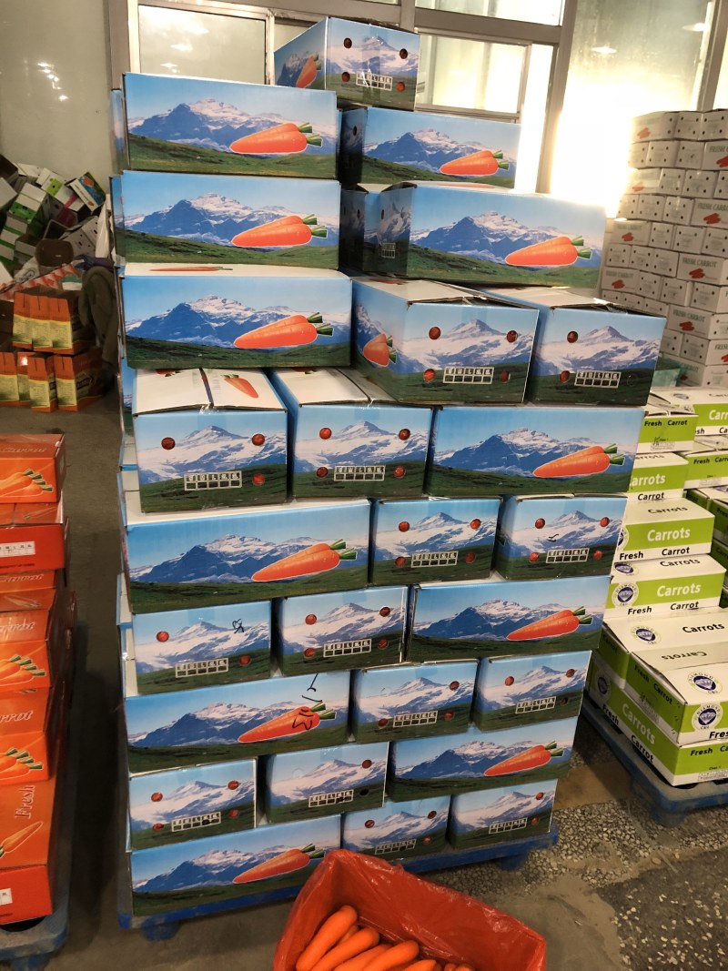 胡萝卜代办代销自家有基地货源