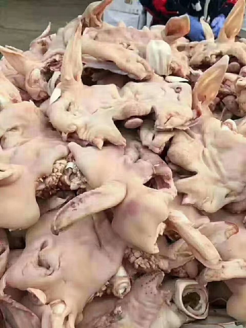 羊头肉，白羊头肉干净，去骨，水分少