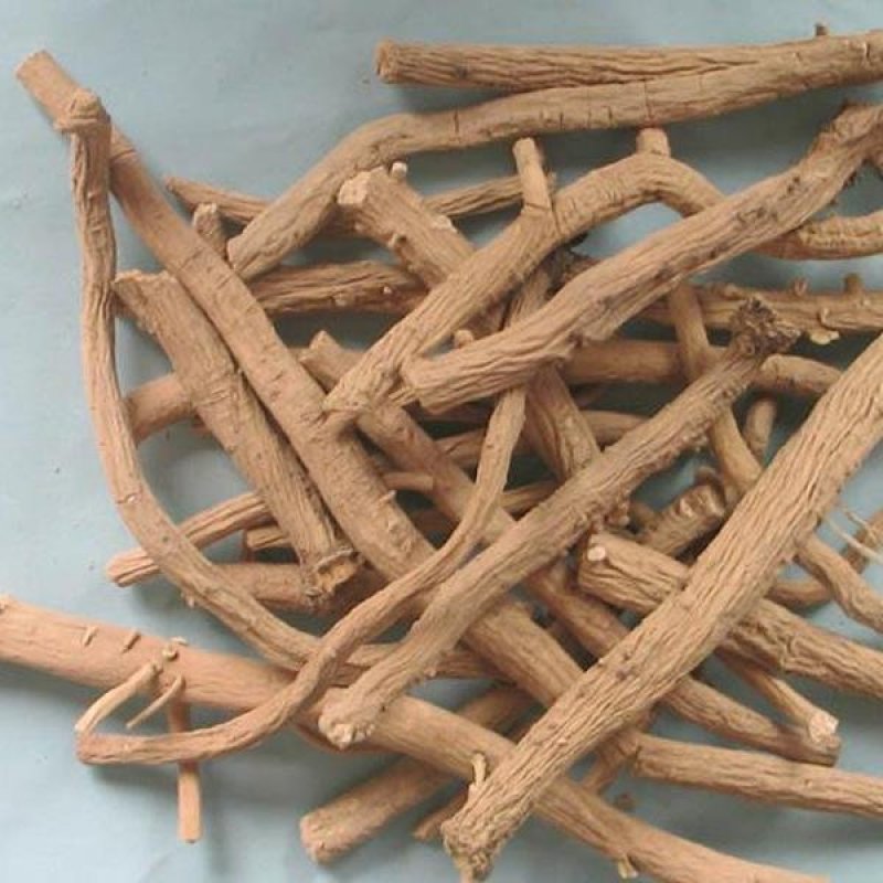 板蓝根种子大叶小叶品种纯新种子包发芽提供种植技术