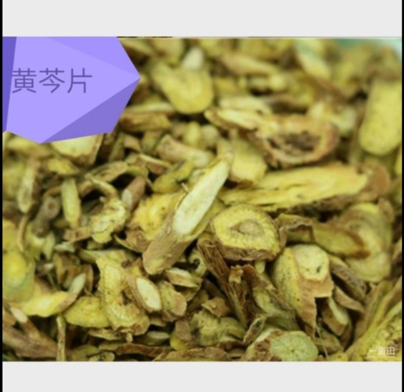 黄芩新种子，大量现货，90%发芽率，全国包邮。
