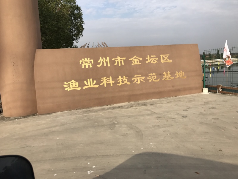 长荡湖大闸蟹上市啦