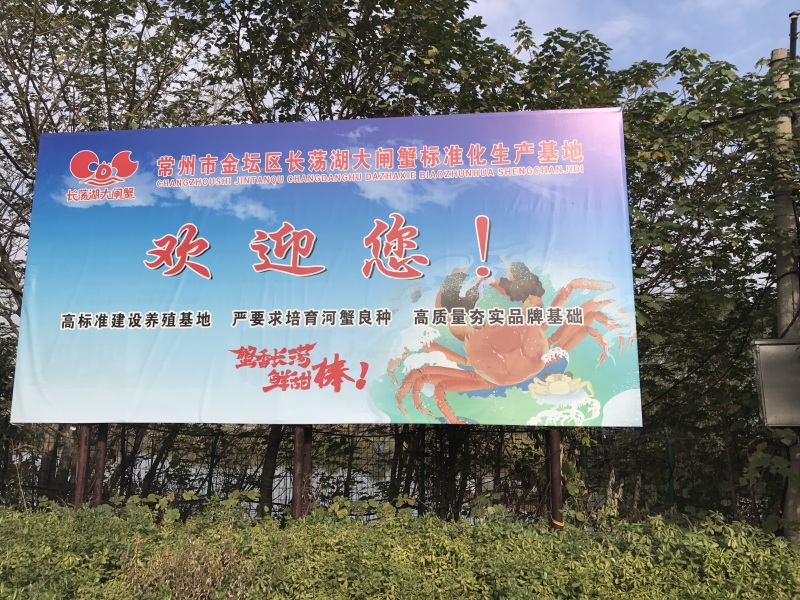 长荡湖大闸蟹上市啦