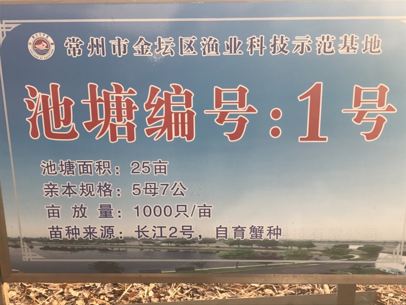 长荡湖大闸蟹上市啦