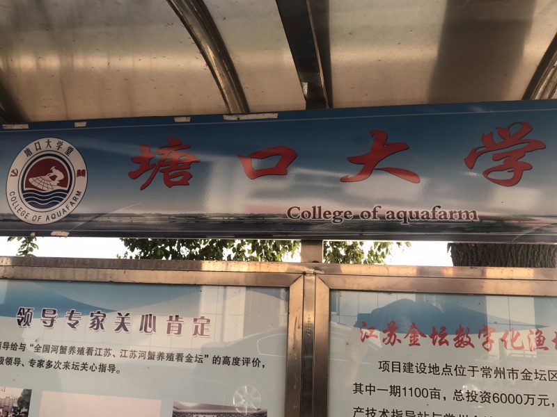 长荡湖大闸蟹上市啦