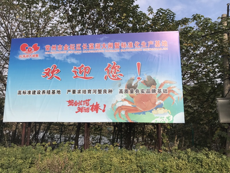 长荡湖大闸蟹上市太湖水系最后一批大闸蟹