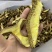 牛肝菌
