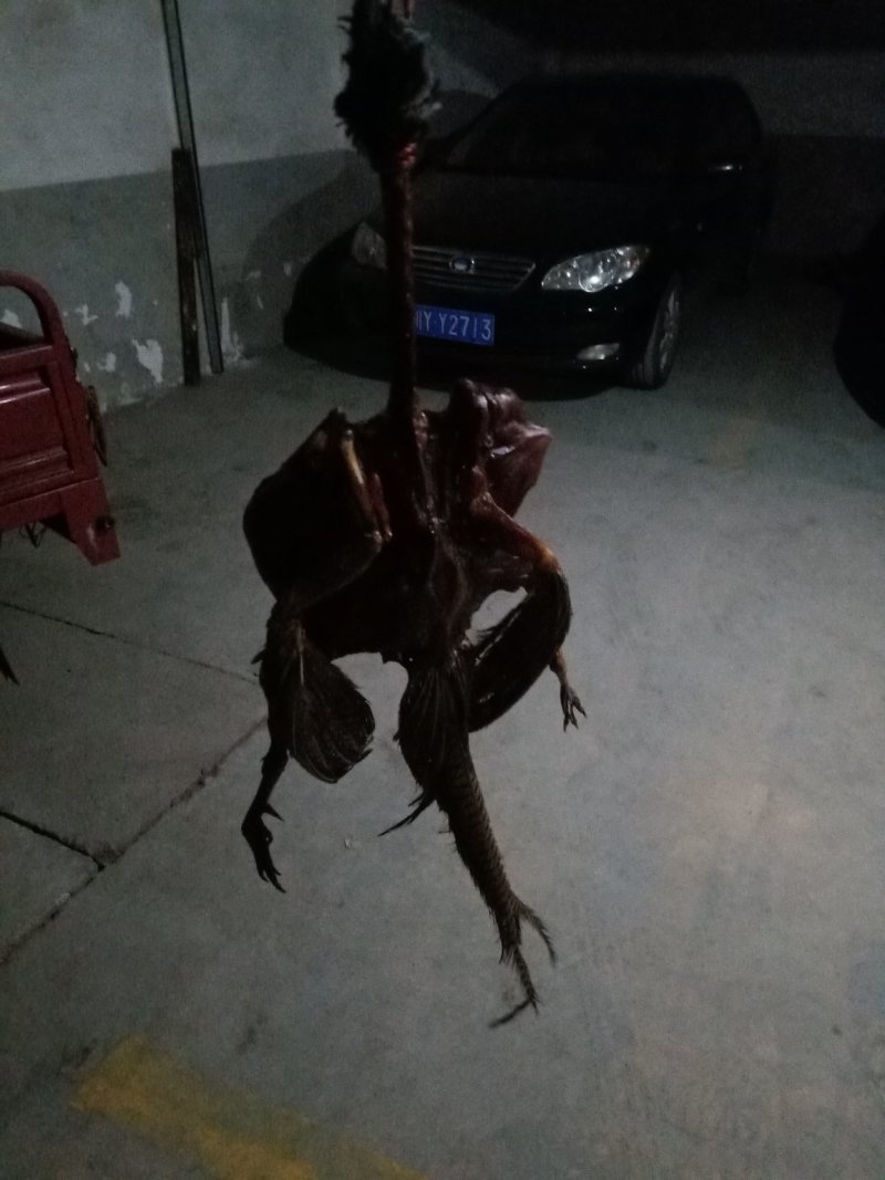 农家手工魔芋豆腐