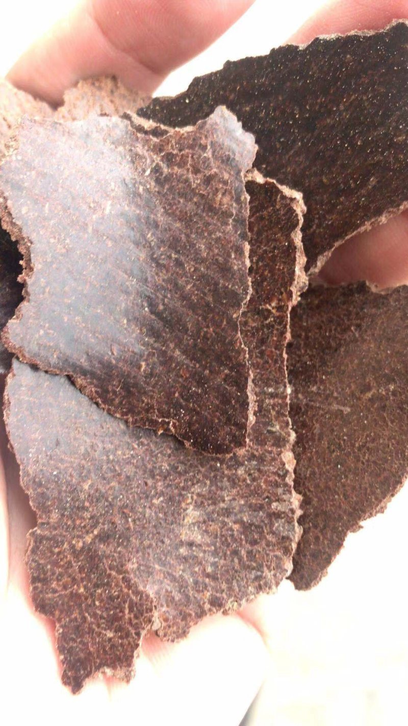 厂家直销动物饲料添加用花生饼鱼饵料用花生饼高蛋白纯花