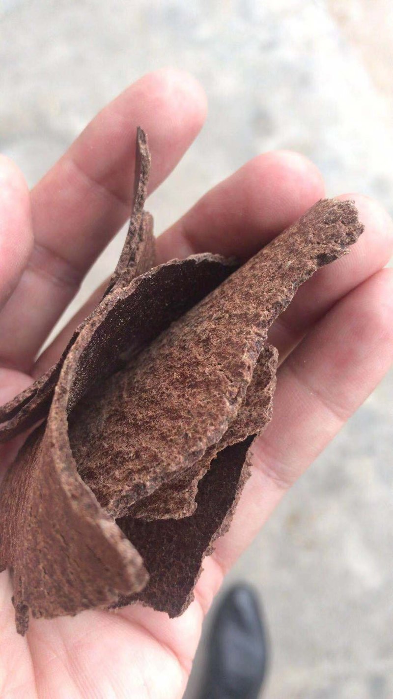 厂家直供熟榨浓香花生枯麸饼粕鱼粉打窝宠物饲料植物花肥