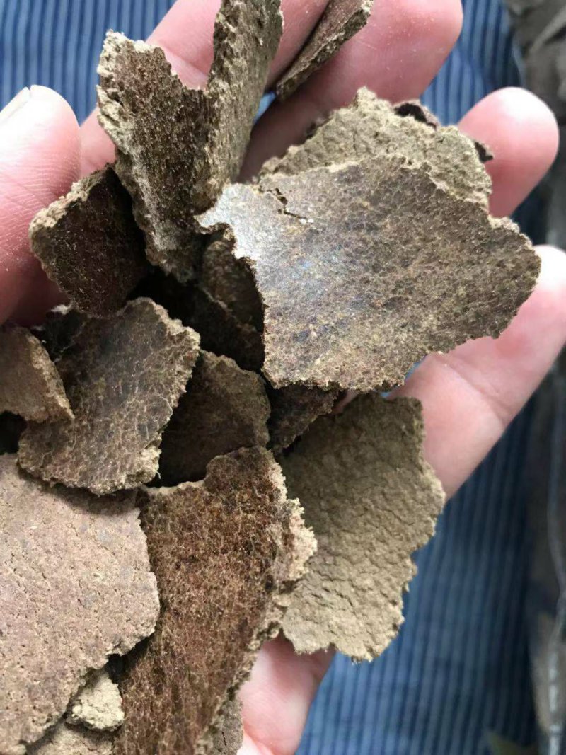 厂家直供熟榨浓香花生枯麸饼粕鱼粉打窝宠物饲料植物花肥