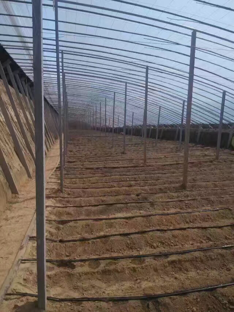 迷宫滴灌带厂家直销质优价廉
