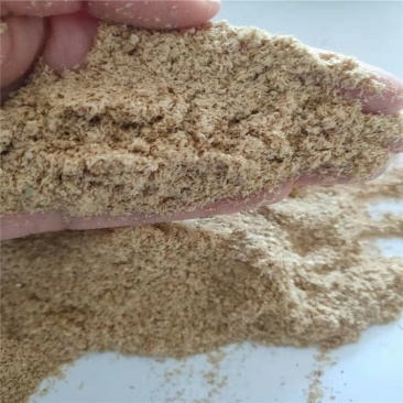 供应小米壳小米糠小米油糠脂肪蛋白含量14量大优惠