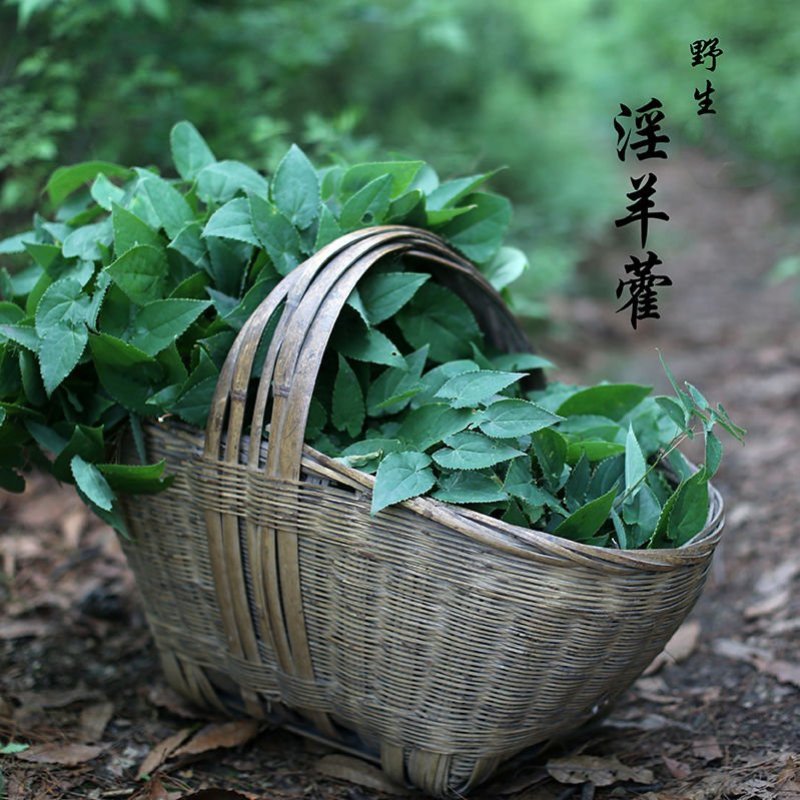 淫羊藿野生甘肃淫羊藿品质保证干货东北淫羊霍仙灵