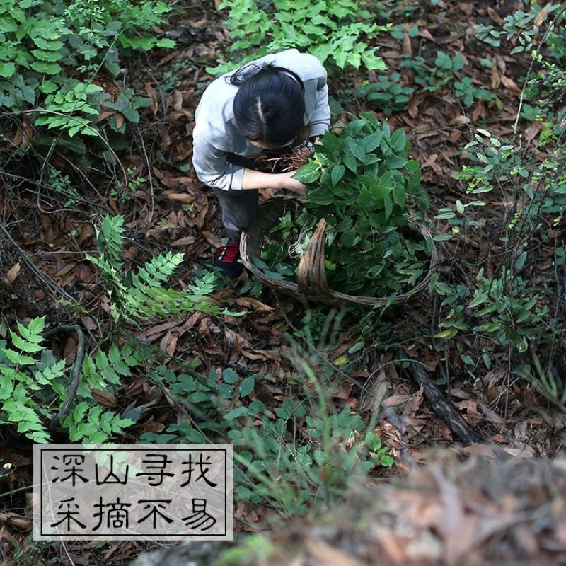 淫羊藿野生甘肃淫羊藿品质保证干货东北淫羊霍仙灵
