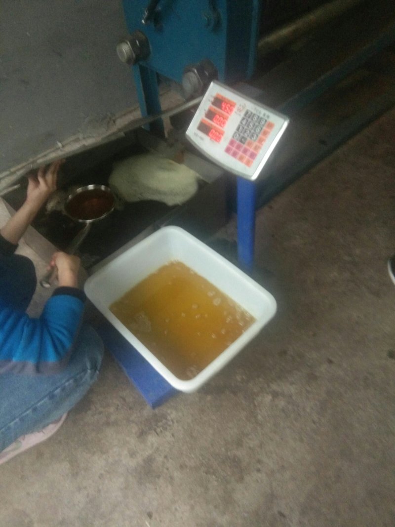 一级初榨山茶油