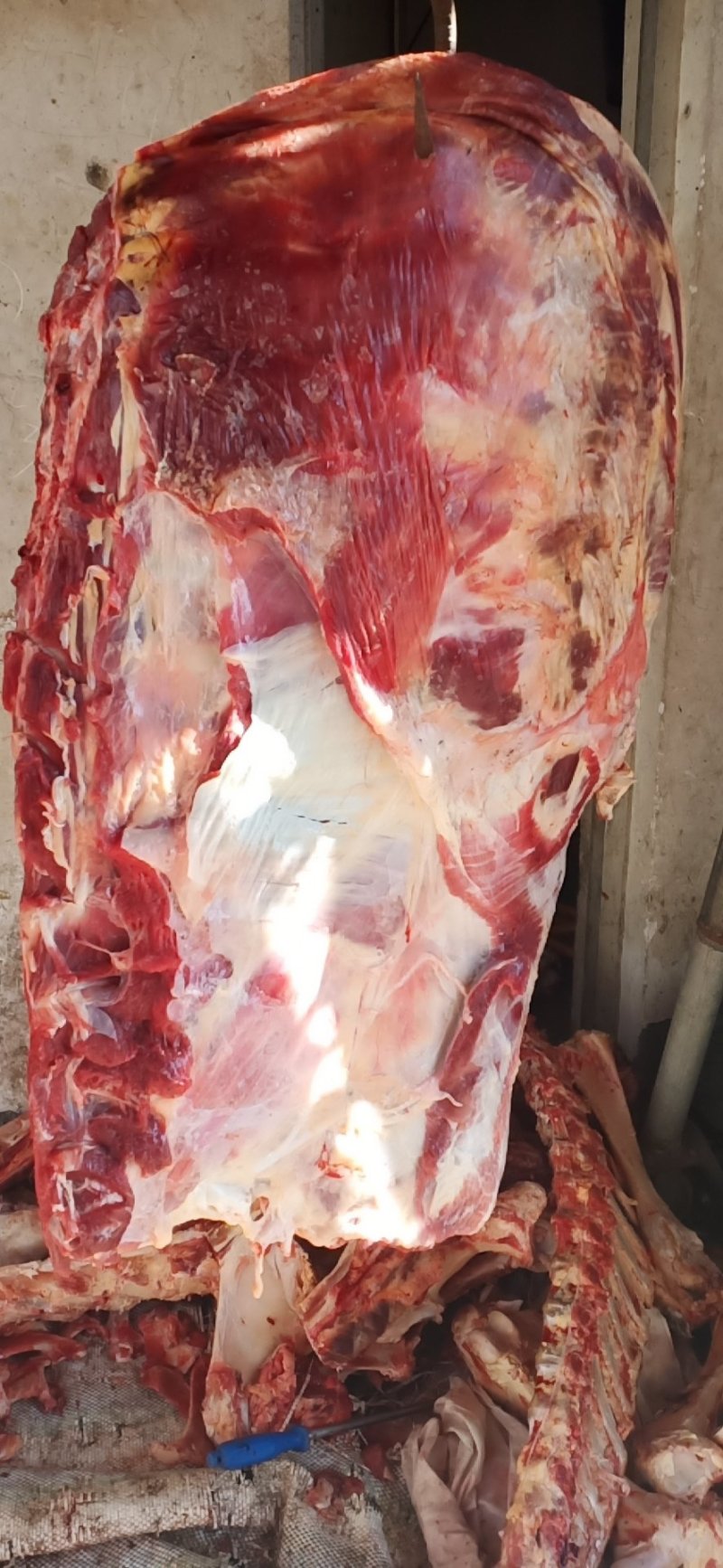 鲜牛排大量有货，可剧块剧段，肉多多。