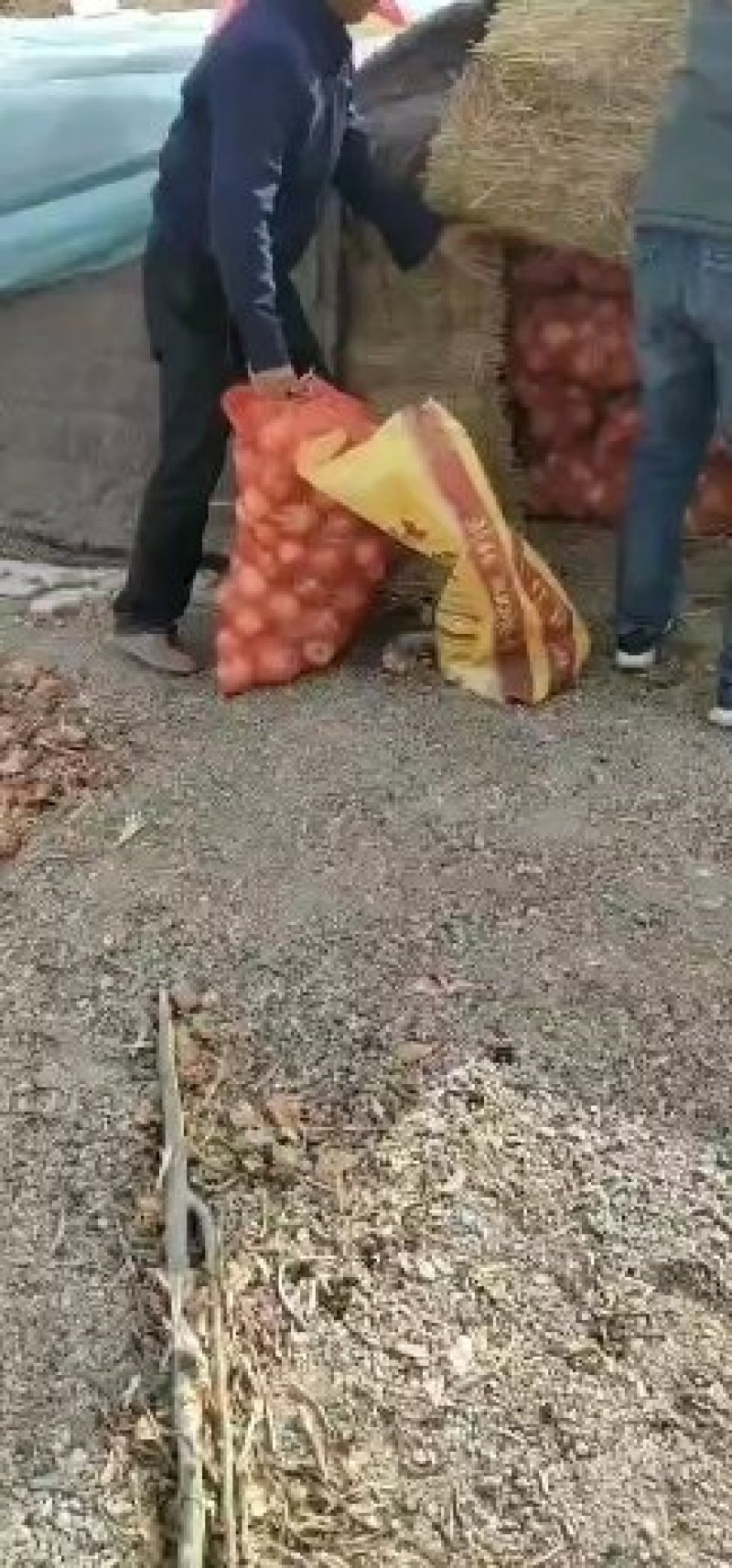 黄葱，