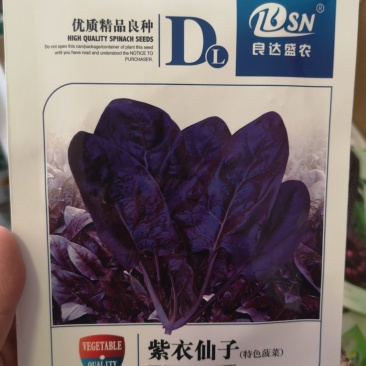 紫菠菜种子优质精品良种叶片肥厚产量高口感佳15克
