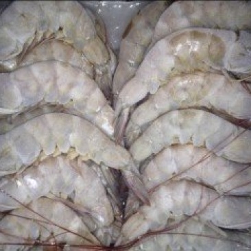 冻虾50--60规格