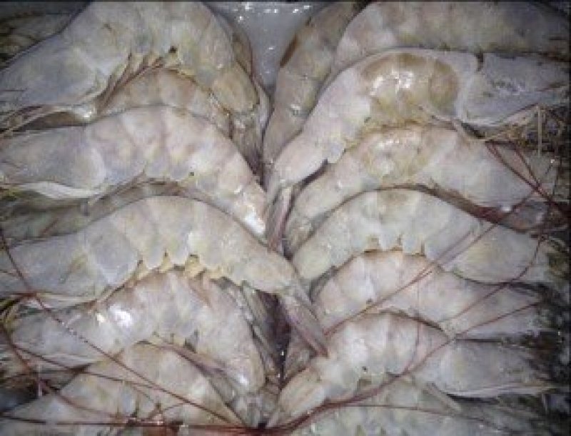冻虾50--60规格