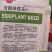 绿茄子种子绿茄果大肉嫩,色绿抗病商品性好10克