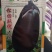 绿茄子种子绿茄果大肉嫩,色绿抗病商品性好10克