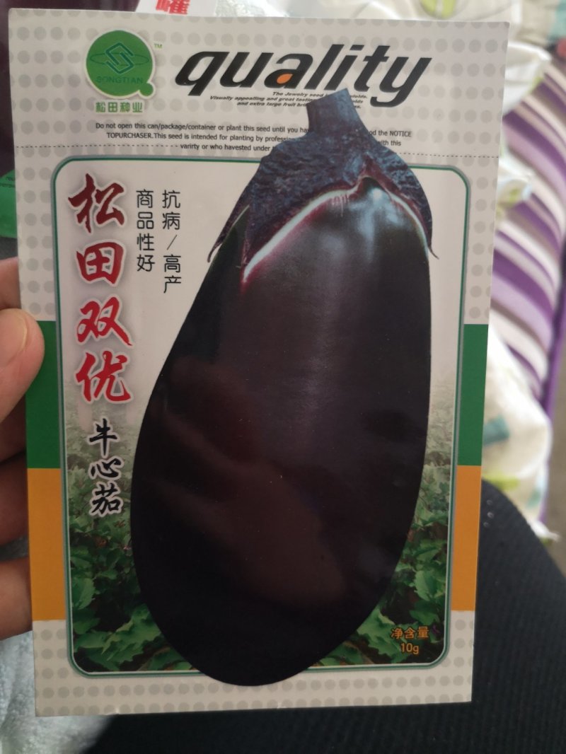 绿茄子种子绿茄果大肉嫩，色绿抗病商品性好10克