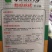 绿茄子种子绿茄果大肉嫩,色绿抗病商品性好10克