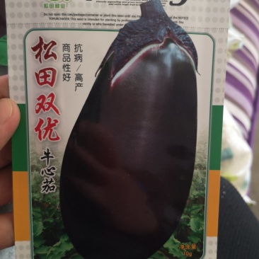 松田双优牛心茄子紫茄种子高产早熟生长强势结果