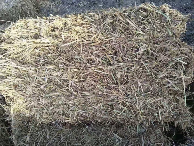 天然草垛干稻草装饰材料鸡窝草填充草堆碎稻