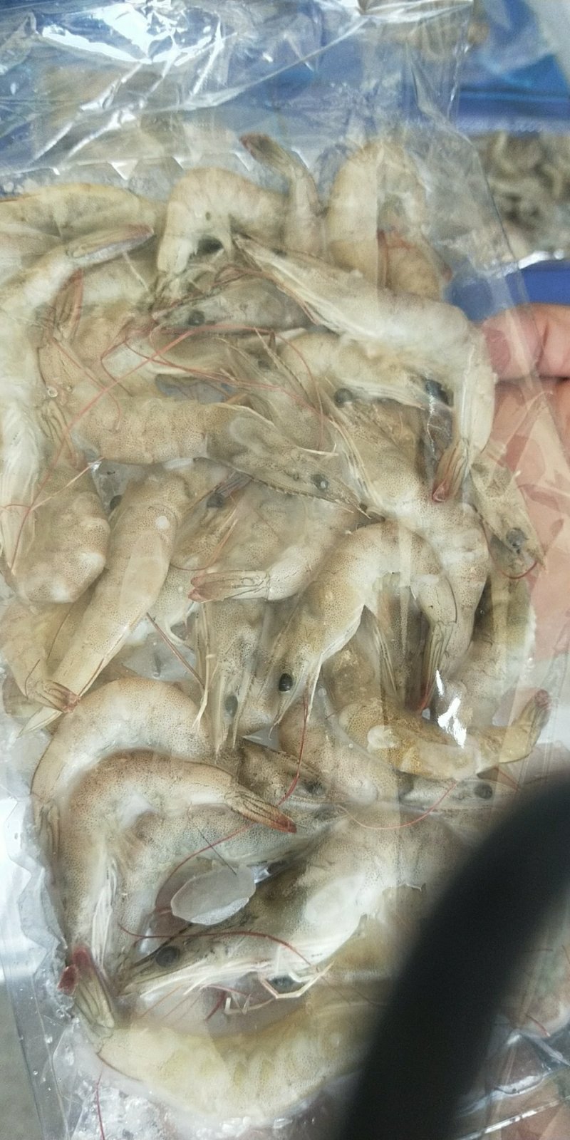 海鲜礼盒