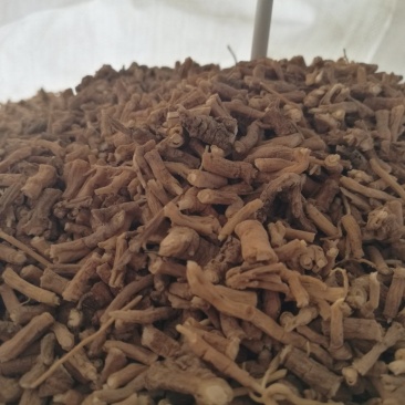 远志棍远志筒远志肉