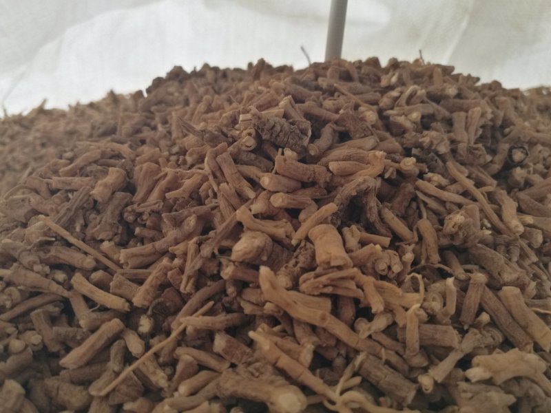 远志棍远志筒远志肉
