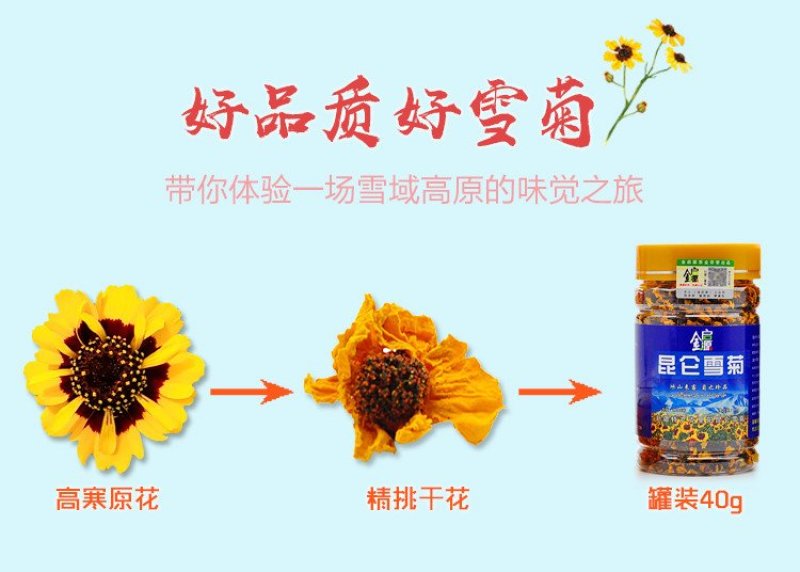 特级原产地新疆昆仑雪菊野生花茶血菊养生茶一件代发