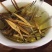 云南滇红茶新茶红茶凤庆大金针
