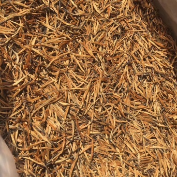 云南滇红茶新茶红茶凤庆大金针