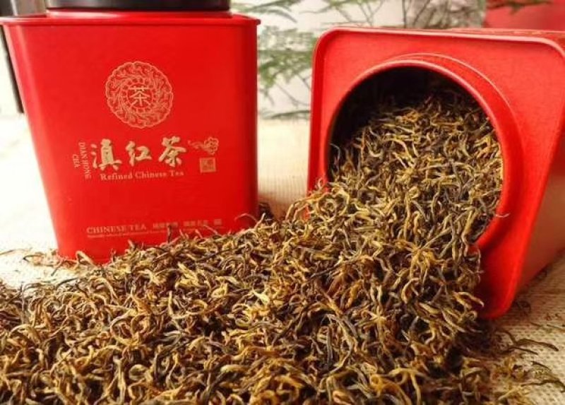 云南风庆滇红茶，大金芽，批发