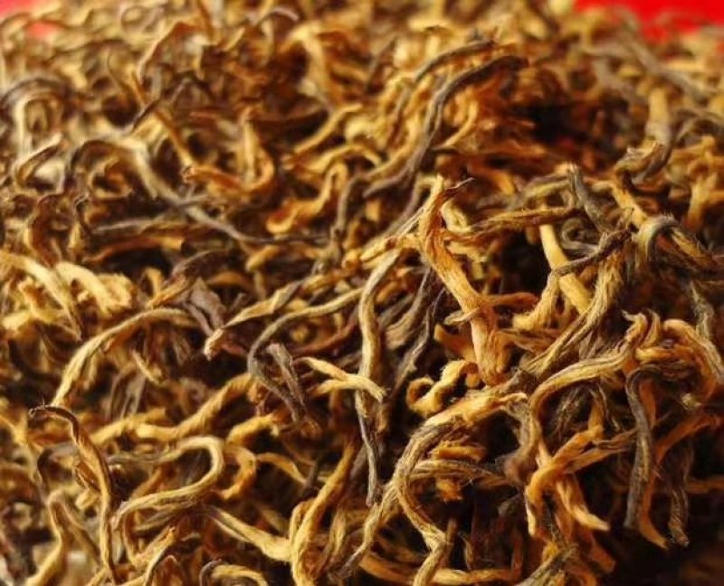 云南风庆滇红茶，大金芽，批发