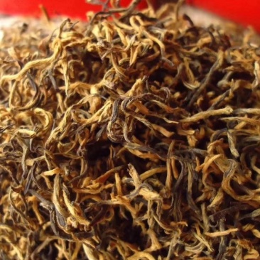 云南风庆滇红茶，大金芽，批发