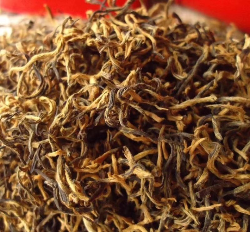 云南风庆滇红茶，大金芽，批发